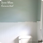 For The Love of Paint Samples