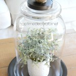 When Inspiration Strikes: A DIY Glass Cloche